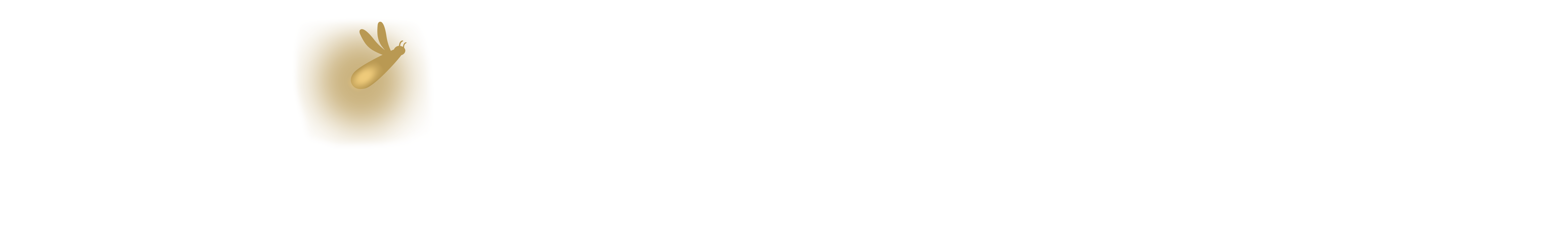 Noé Zamblera · Neuropsicóloga Infantojuvenil